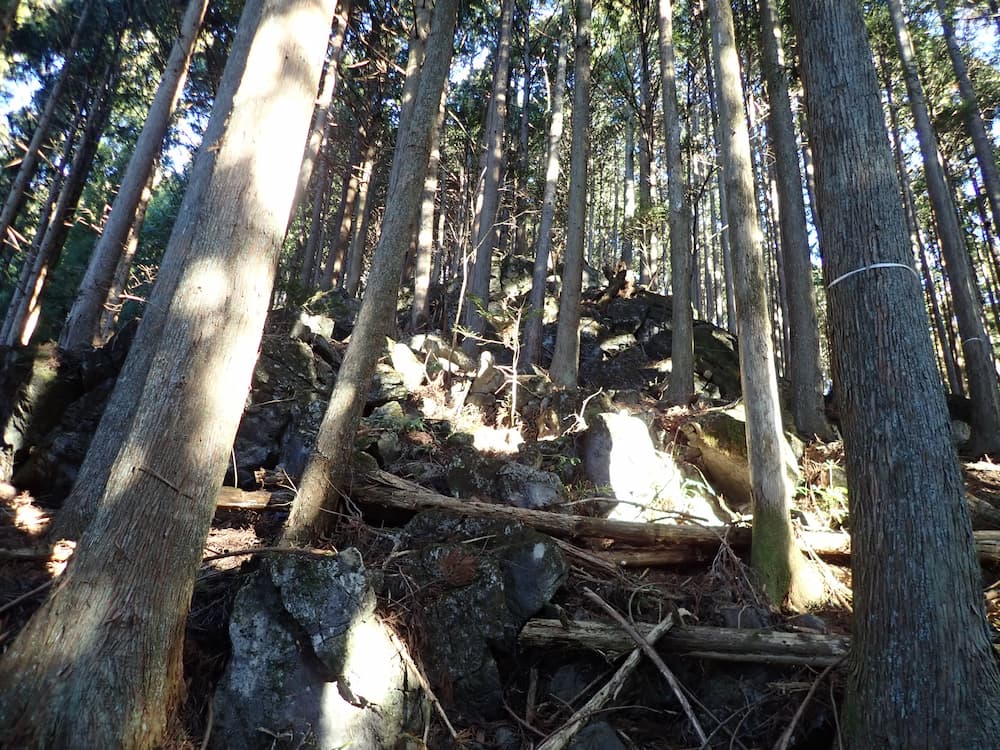 前半(梅久保バス停〜イソツネ山〜沖ノ指山)-01