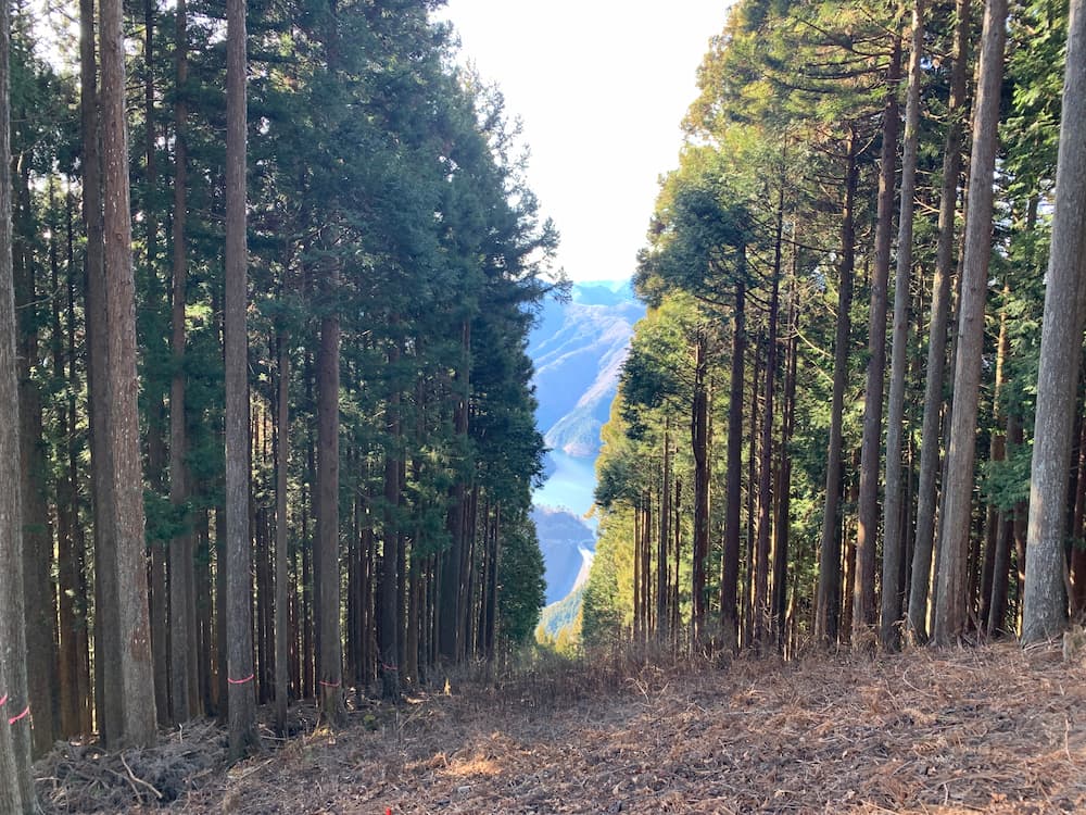 中盤(沖ノ指山〜トオノクボ〜六ツ石山)-01